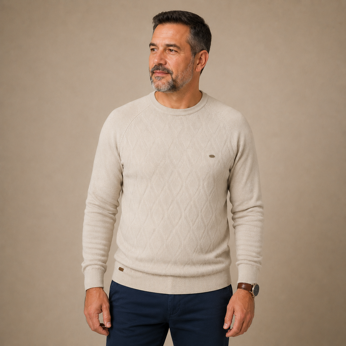 Herrenpullover Argilian 100% Baumwolle